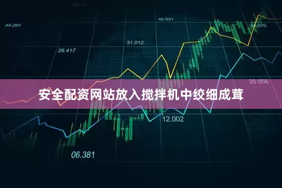 安全配资网站放入搅拌机中绞细成茸