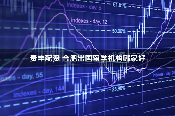 责丰配资 合肥出国留学机构哪家好