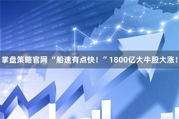 掌盘策略官网 “船速有点快！”1800亿大牛股大涨！